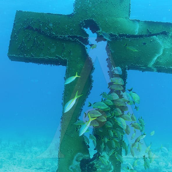 Buceo en Isla Mujeres